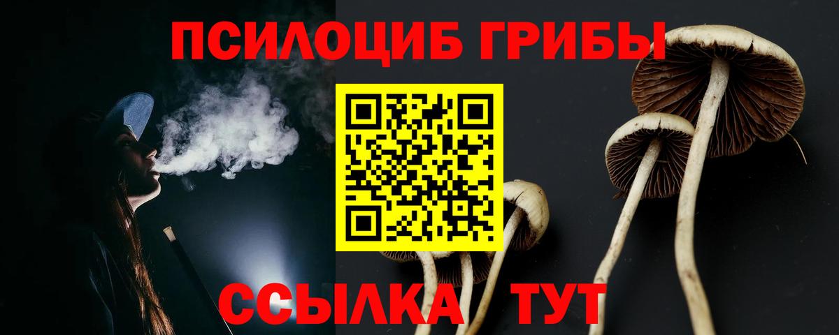 Галлюциногенные грибы прущие грибы Краснокаменск