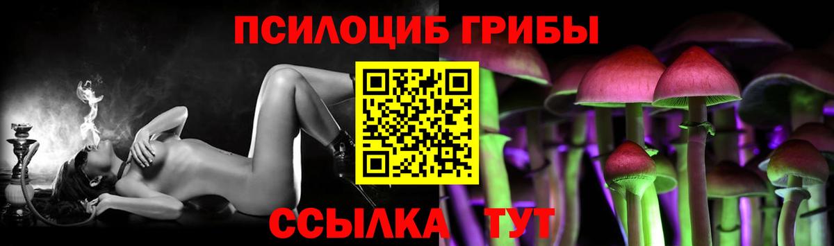 Краснокаменск  сколько стоит  Вход с VPN  Галлюциногенные грибы Psilocybine cubensis 